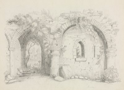 Ruïnes door Mary Altha Nims