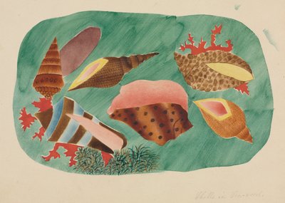 Schelpjes in zeewier door Mary Altha Nims