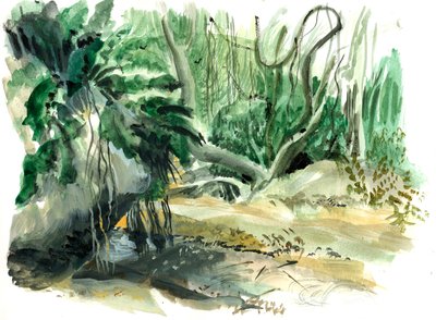 Tyrona, jungle, 2008 door Mary Kuper