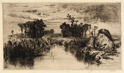 Kattestaarten en bomen door Mary Nimmo Moran