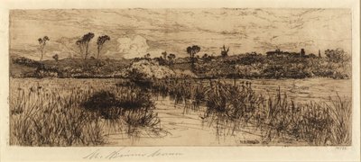 Thuis van de muskusrat door Mary Nimmo Moran