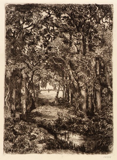 De zee door het bos door Mary Nimmo Moran