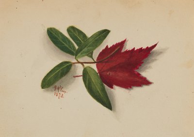 Zonder titel, 1873 door Mary Vaux Walcott