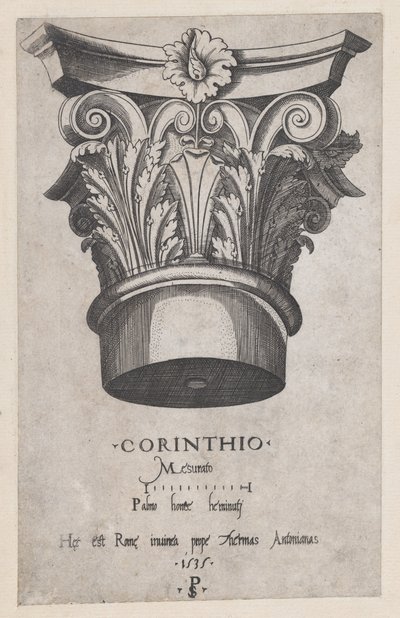 Speculum Romanae Magnificentiae: Korinthisch kapiteel, 1535 door Master PS