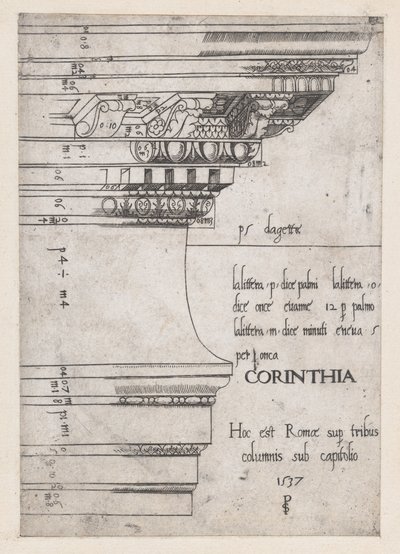 Speculum Romanae Magnificentiae: Entablement van de Tempel van Castor en Pollux, Rome, 1537 door Master PS