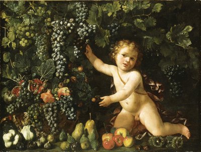 Druiven aan de Wijnstok, Granaatappels, Druiven en Rozenbottels in een Mand, met Vijgen, Appels, Peren en Kastanjes bij een Putto door Master of the Acquavella Still Life