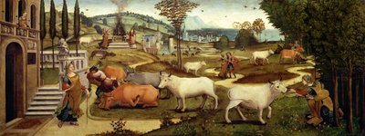 De Passies van Pasiphae, vrouw van koning Minos van Kreta, uit het Verhaal van Theseus door Master of the Campana Cassoni