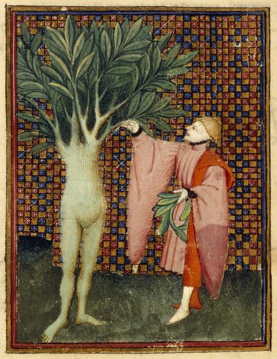 Apollo en Daphne door Master of the Cité des Dames
