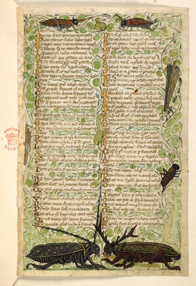 Add. 28841, f.2: Gehoornde kevers, krekels en een sprinkhaan. Verhandeling over de Deugden en Ondeugden, en een anonieme prozageschiedenis van Sicilië (fragment) door Master of the Cocharelli Codex
