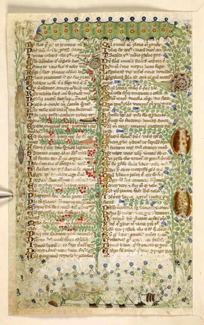 Add. 28841, f.2v: Rupsen, slakken en andere insecten, uit een Verhandeling over de Deugden en Ondeugden, en een anonieme prozageschiedenis van Sicilië (fragment), ca. 1330-40 (perkament) door Master of the Cocharelli Codex