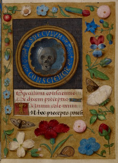 Opening van de Speculum Conscientie (Spiegel van het Geweten) (illustratie uit de 