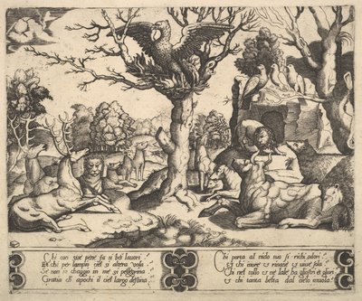 Een feniks zat bovenop een boom, vleugels open, een verscheidenheid aan dieren eronder, 1530-60 door Master of the Die