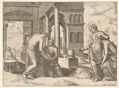 Venus beveelt Psyche een hoop graan te sorteren, uit de 