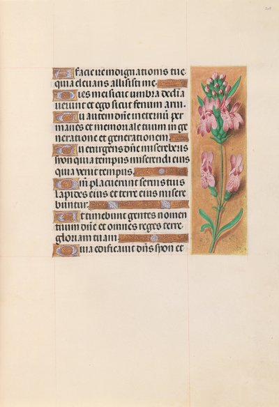 Uren van Koningin Isabella de Katholieke, Koningin van Spanje: Fol. 207r, ca. 1500 door Master of the First Prayerbook of Maximillian
