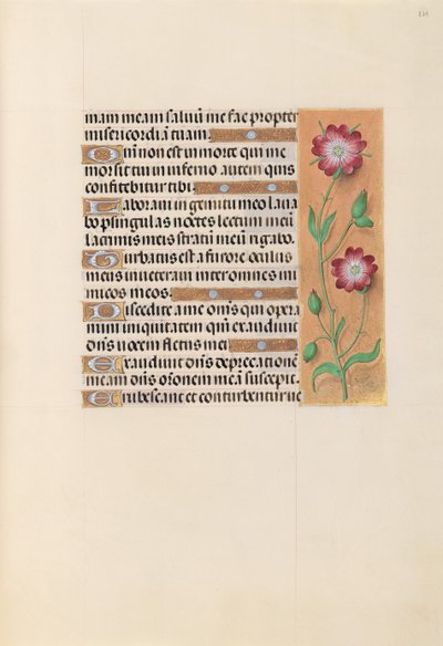 Getijdenboek van koningin Isabella de Katholieke, koningin van Spanje: Fol. 229r, ca. 1500 door Master of the First Prayerbook of Maximillian