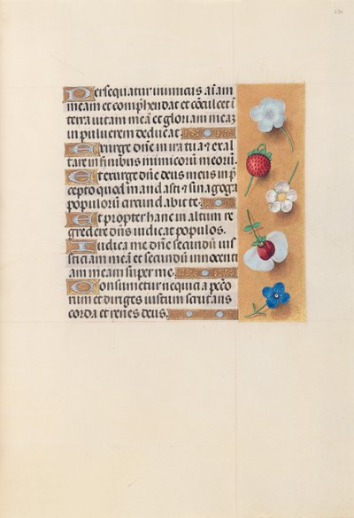 Uren van koningin Isabella de Katholieke, koningin van Spanje: Fol. 230r, c. 1500 door Master of the First Prayerbook of Maximillian