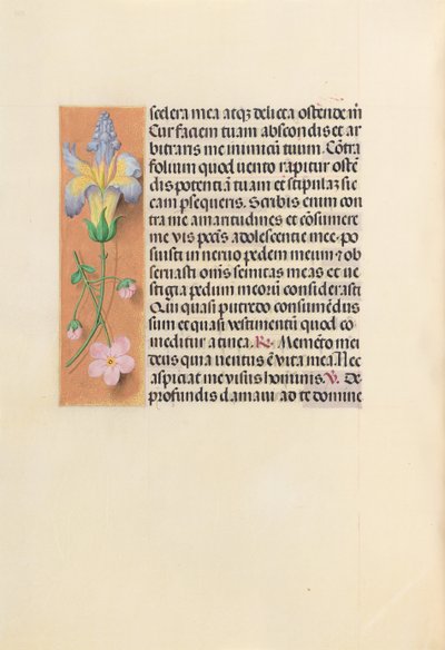 Uren van koningin Isabella de Katholieke, koningin van Spanje: Fol. 237v, ca. 1500 door Master of the First Prayerbook of Maximillian