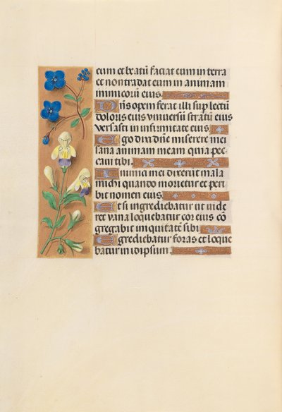 Getijdenboek van Koningin Isabella de Katholieke, Koningin van Spanje: Fol. 241v, ca. 1500 door Master of the First Prayerbook of Maximillian
