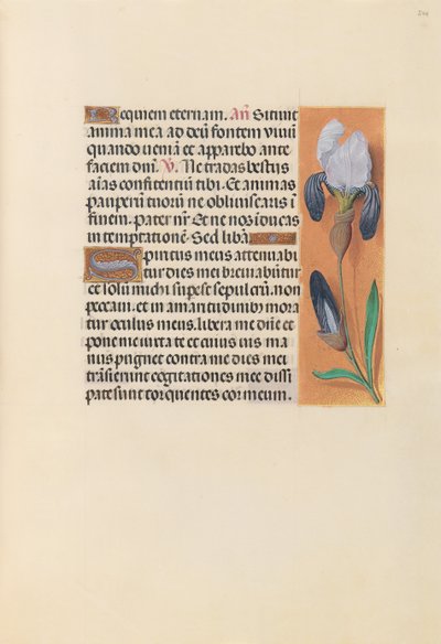 Getijdenboek van koningin Isabella de Katholieke, koningin van Spanje: Fol. 244r door Master of the First Prayerbook of Maximillian