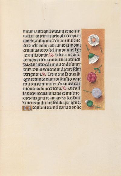 Getijdenboek van koningin Isabella de Katholieke, koningin van Spanje: Fol. 245r, ca. 1500 door Master of the First Prayerbook of Maximillian