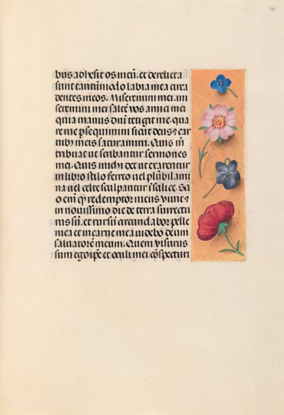 Getijdenboek van koningin Isabella de Katholieke, koningin van Spanje: Fol. 245r, ca. 1500 door Master of the First Prayerbook of Maximillian