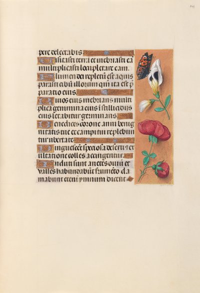Uren van Koningin Isabella de Katholieke, Koningin van Spanje: Fol. 249r door Master of the First Prayerbook of Maximillian