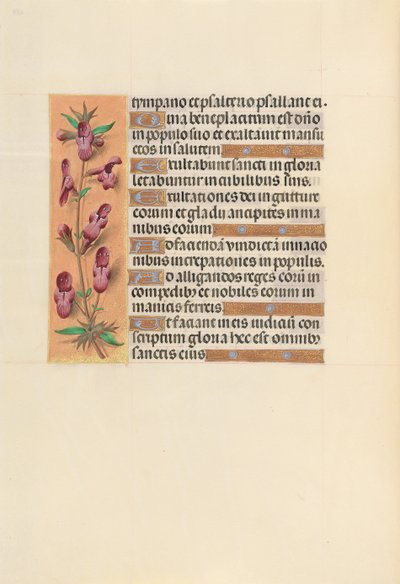 Getijdenboek van koningin Isabella de Katholieke, koningin van Spanje: Fol. 253v door Master of the First Prayerbook of Maximillian