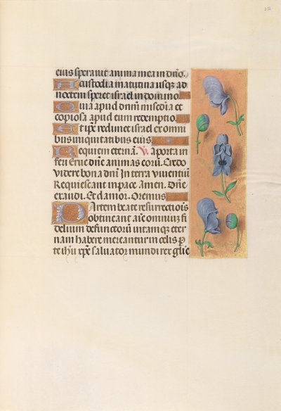 Getijdenboek van Koningin Isabella de Katholieke, Koningin van Spanje: Fol. 256r door Master of the First Prayerbook of Maximillian