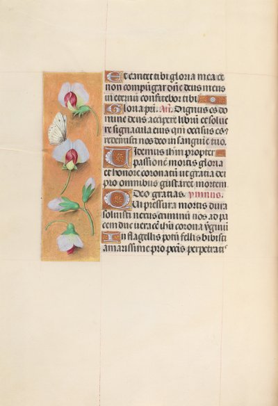 Getijdenboek van Koningin Isabella de Katholieke, Koningin van Spanje: Fol. 74v, ca. 1500 door Master of the First Prayerbook of Maximillian