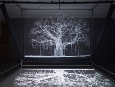 Albion, 2017 (Projector, mediaspeler, steiger, transparante film, hout, verf, spiegel, spanaccessoires) door Mat Collishaw