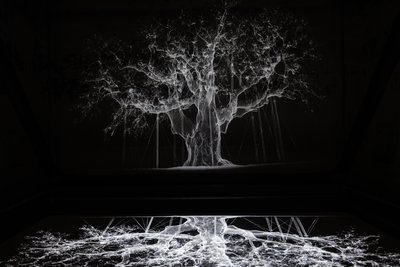 Albion, 2017 (Projector, mediaspeler, steiger, transparante film, hout, verf, spiegel, spanaccessoires) door Mat Collishaw