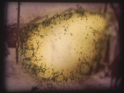 Barbarossa, 2002 (videoprojector en gesimuleerde diaprojector) door Mat Collishaw