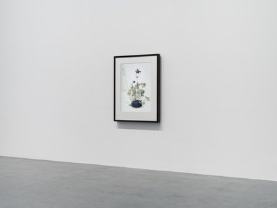 Columbine, 2018 (Houten frame, rand, LCD-scherm, ventilator en mediaspeler) door Mat Collishaw