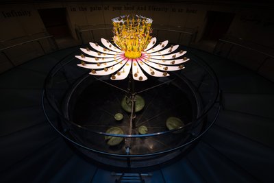 Equinox, 2021 (acryl, elektrische schakeling, hydraulica, lak, motor, verf, gerecycled hars, staal) door Mat Collishaw