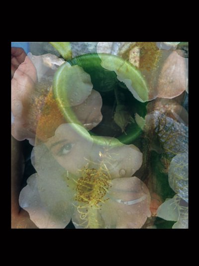 Vleesvreters 2 door Mat Collishaw