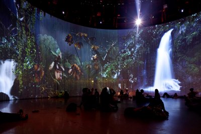 Sordid Earth, 2011 (video-installatie, harde schijf, siliconen, staal door Mat Collishaw