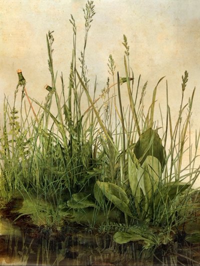 Whispering Weeds, 2011 (Houten frame, rand, LCD-scherm, ventilator en harde schijf) door Mat Collishaw