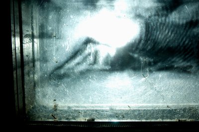 Wormerij, 2009 (Hout, glas, staal, projector en speler) door Mat Collishaw