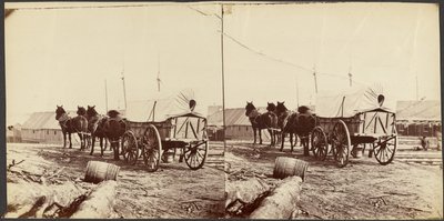  door Mathew B. Brady