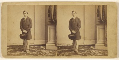 [Ongeïdentificeerde jonge man, staand met een hoge hoed en wandelstok] door Mathew B. Brady