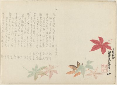 Japanse esdoorn door Matsukawa Hanzan