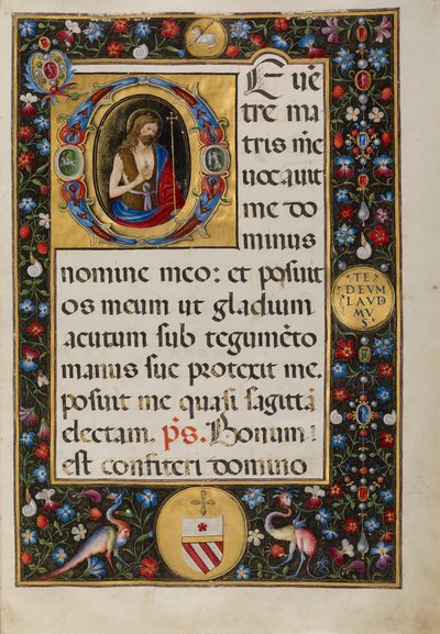 Beginletter D: Sint Johannes de Doper door Matteo da Milano