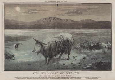 De Zondebok van Ierland; of, De Schaduw van Honderd Onrechten door Matthew