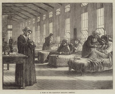 Een zaal in het Hampstead Smallpox Hospital door Matthew White Ridley