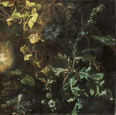 Distels en andere planten op een bosbodem, een landschap daarachter, fragment door Matthias Withoos