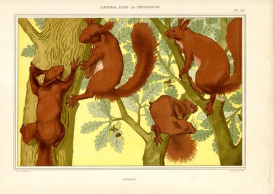 Eekhoorns in een eikenboom (litho) door Maurice Pillard Verneuil
