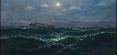 Duits: Stoomschip op volle zee door Max Jensen