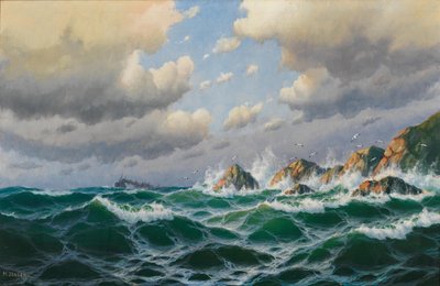 Duits: Stoomboot voor stormachtige kust door Max Jensen