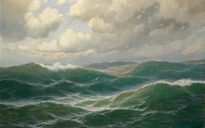 Meeuwen boven de golven door Max Jensen