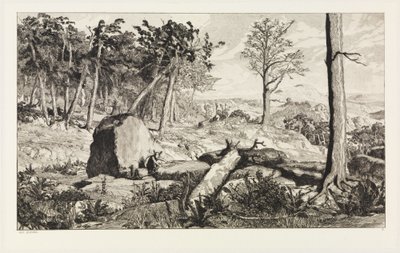 Simplicius in de wildernis van het bos (Intermezzi, opus IV, blad 10) door Max Klinger